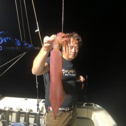 オーシャンズ　京都 釣果