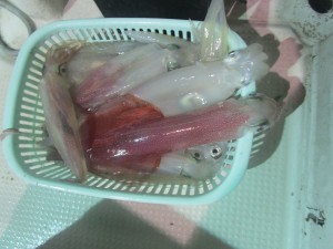兼六丸 釣果