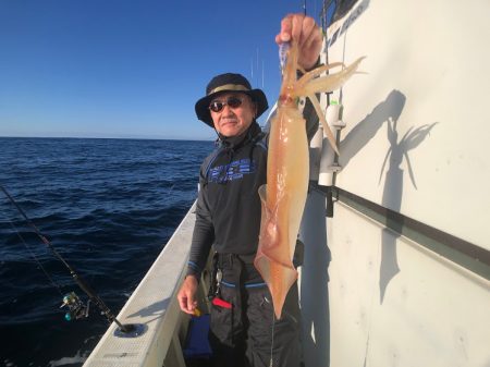 オーシャンズ　京都 釣果