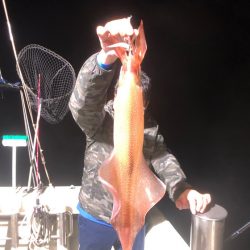 オーシャンズ　京都 釣果