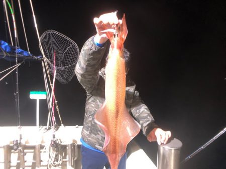 オーシャンズ　京都 釣果