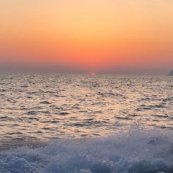 オーシャンズ 京都 釣果