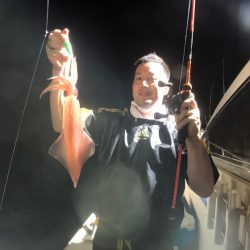 オーシャンズ　京都 釣果