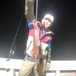 オーシャンズ　京都 釣果