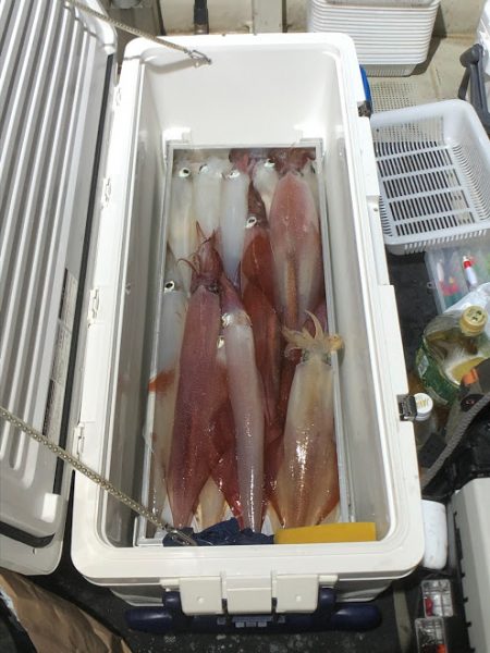 オーシャンズ　京都 釣果