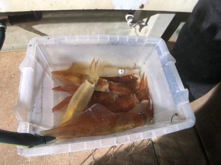 オーシャンズ　京都 釣果