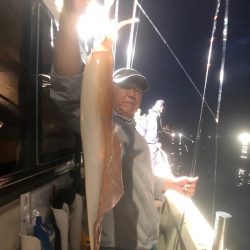 オーシャンズ　京都 釣果