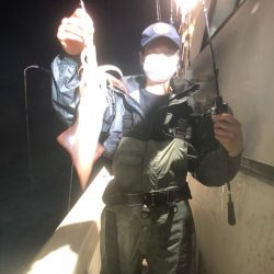 オーシャンズ　京都 釣果