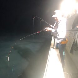 オーシャンズ　京都 釣果