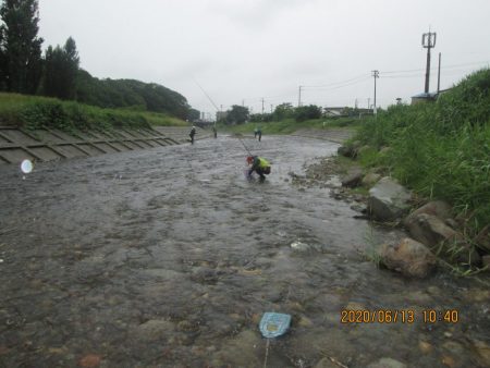 会津大川(会津非出資漁業協同組合) 釣果