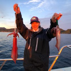 オーシャンズ　京都 釣果