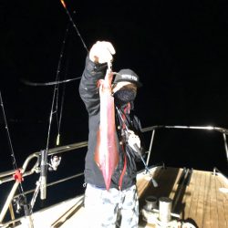 オーシャンズ　京都 釣果