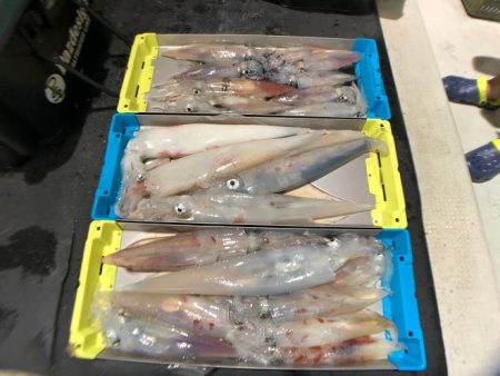 オーシャンズ　京都 釣果