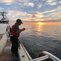 オーシャンズ　京都 釣果