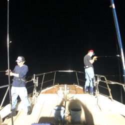 オーシャンズ　京都 釣果