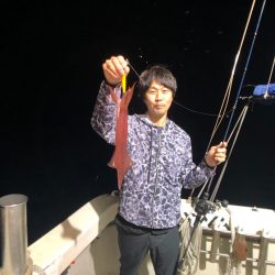 オーシャンズ　京都 釣果