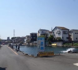 朝霞ガーデン 釣果