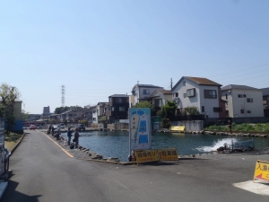 朝霞ガーデン 釣果