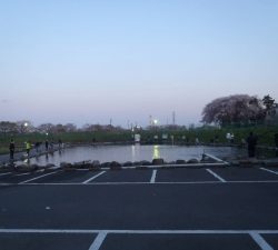 朝霞ガーデン 釣果