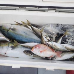 Aquanaut(アクアノート) 釣果