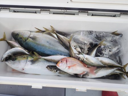 Aquanaut(アクアノート) 釣果