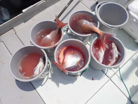 Aquanaut（アクアノート） 釣果