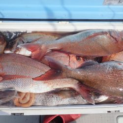 Aquanaut（アクアノート） 釣果