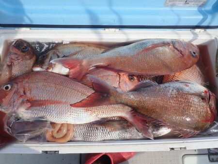 Aquanaut（アクアノート） 釣果