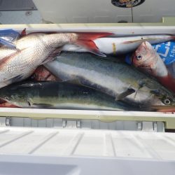 Aquanaut（アクアノート） 釣果