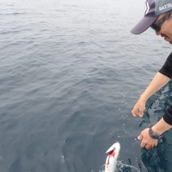 Aquanaut（アクアノート） 釣果