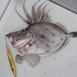 Aquanaut（アクアノート） 釣果