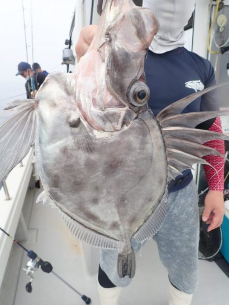 Aquanaut（アクアノート） 釣果