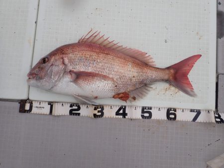 Aquanaut（アクアノート） 釣果