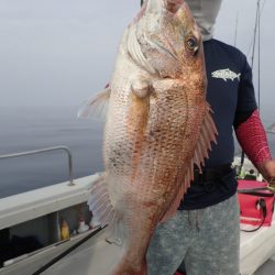 Aquanaut（アクアノート） 釣果