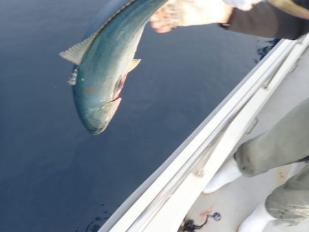 Aquanaut（アクアノート） 釣果