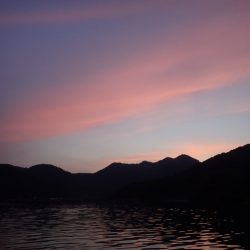 Aquanaut（アクアノート） 釣果