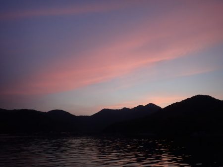 Aquanaut（アクアノート） 釣果