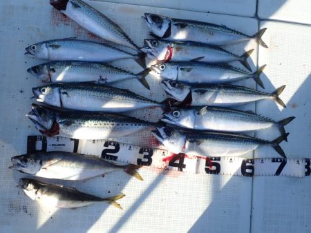 Aquanaut(アクアノート) 釣果