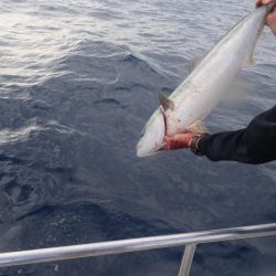 Aquanaut(アクアノート) 釣果