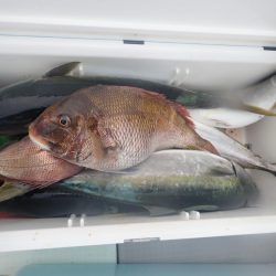 Aquanaut(アクアノート) 釣果