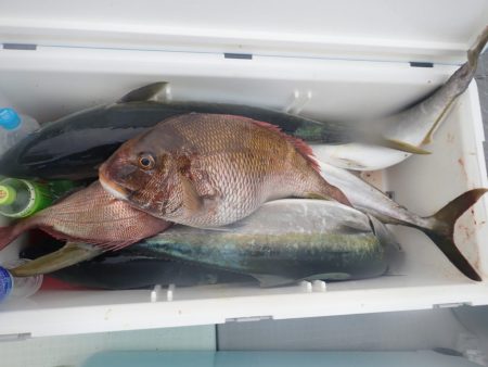 Aquanaut(アクアノート) 釣果