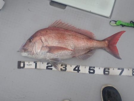 Aquanaut(アクアノート) 釣果