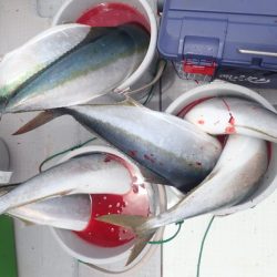 Aquanaut（アクアノート） 釣果