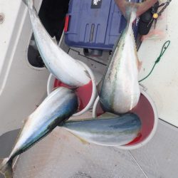 Aquanaut（アクアノート） 釣果