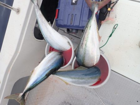 Aquanaut（アクアノート） 釣果