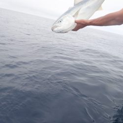 Aquanaut（アクアノート） 釣果