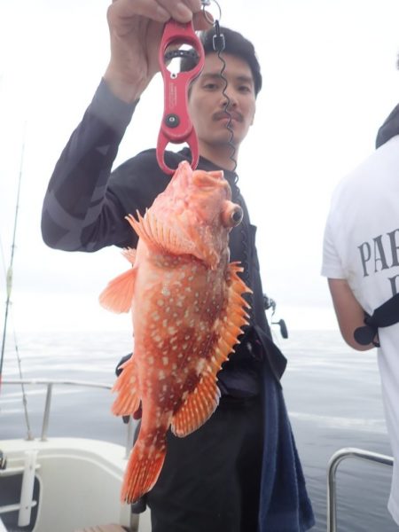 Aquanaut（アクアノート） 釣果