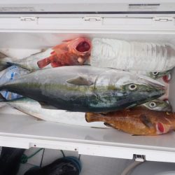 Aquanaut（アクアノート） 釣果