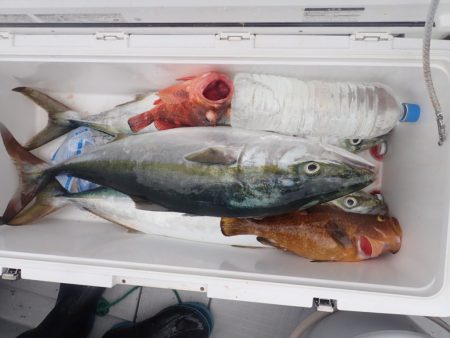 Aquanaut（アクアノート） 釣果