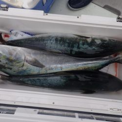 Aquanaut（アクアノート） 釣果